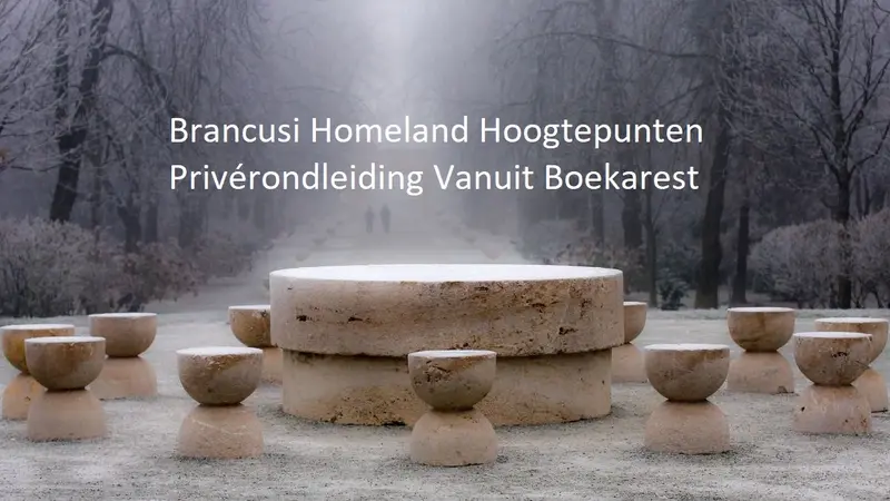 Brancusi Homeland Hoogtepunten Privérondleiding Vanuit Boekarest