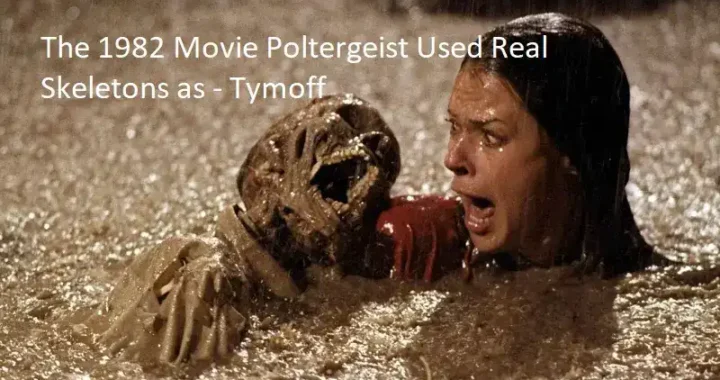 The 1982 Movie Poltergeist Used Real Skeletons as – Tymoff