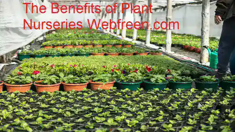 the benefits of plant nurseries webfreen.com